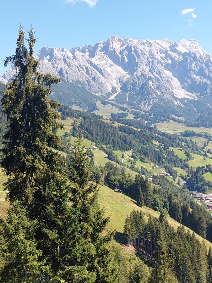 Schernthaner タクセンバッハ エクステリア 写真