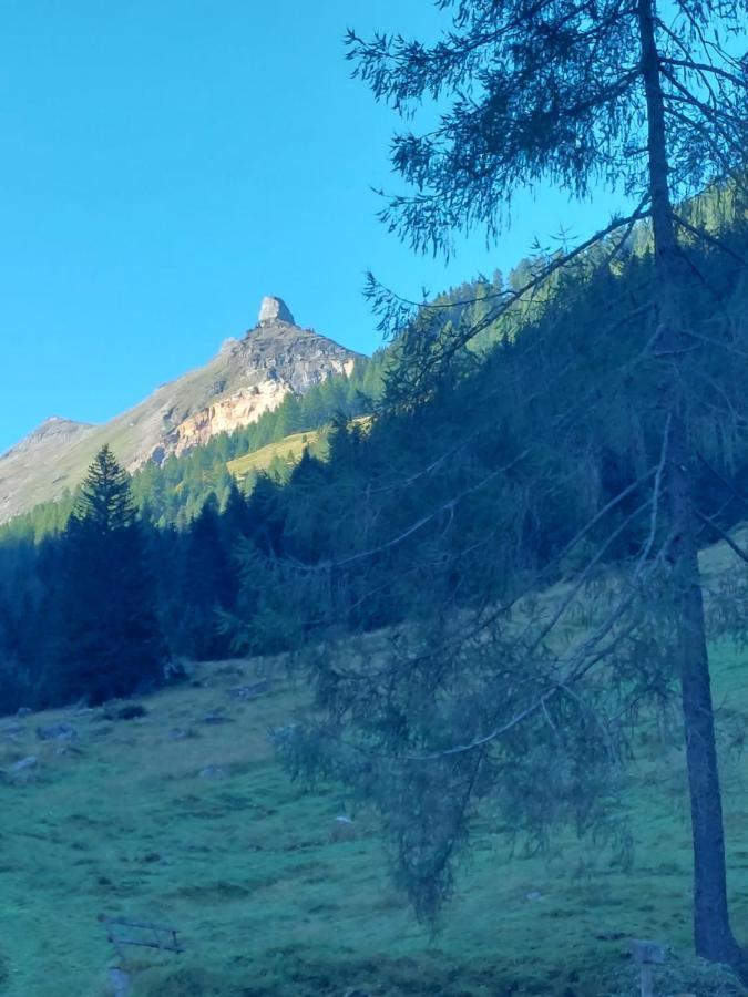 Schernthaner タクセンバッハ エクステリア 写真
